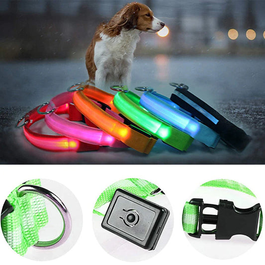 Collar LED con carga USB para perros y Gatos