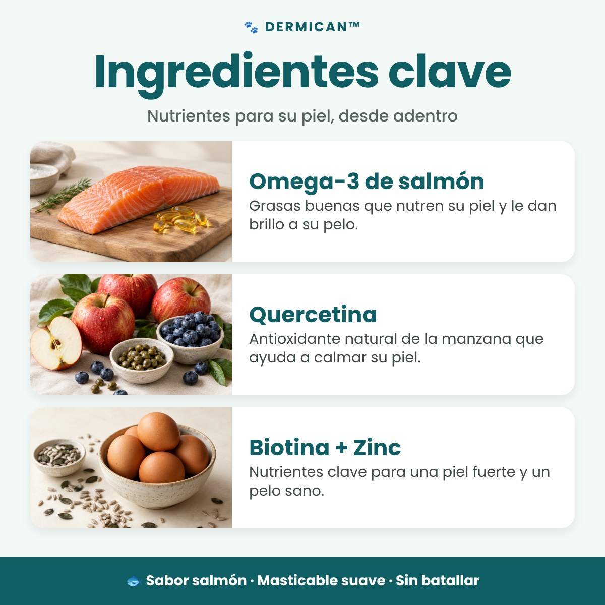 Ingredientes clave de DermiCan