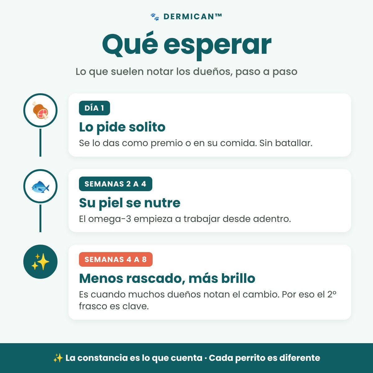 Qué esperar con DermiCan