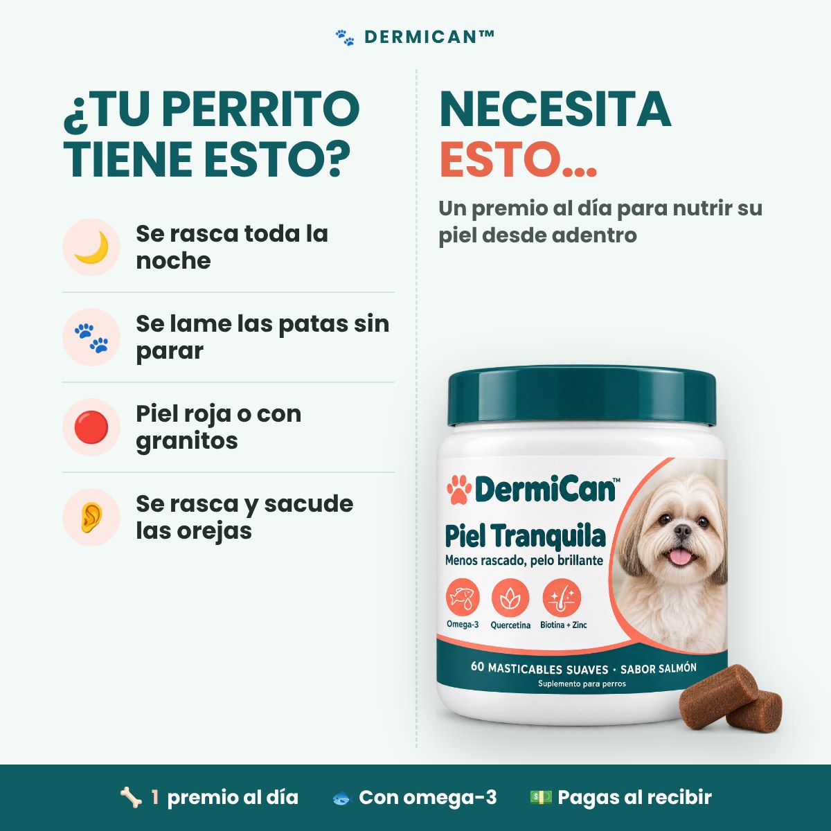 ¿Tu perrito se rasca sin parar? DermiCan
