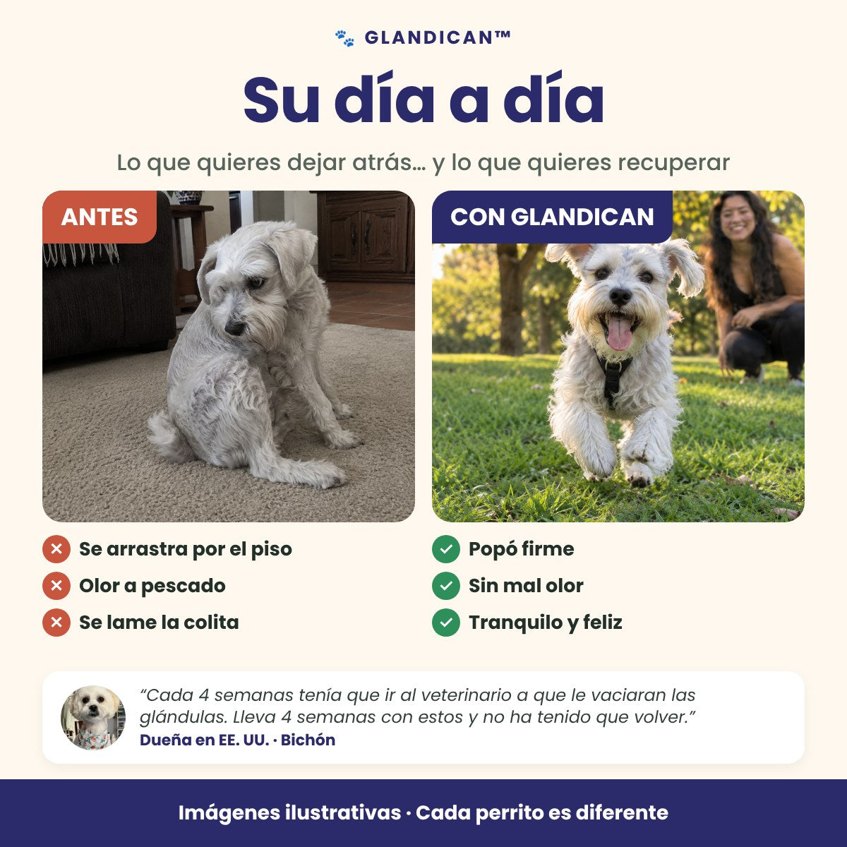 Antes y con GlandiCan