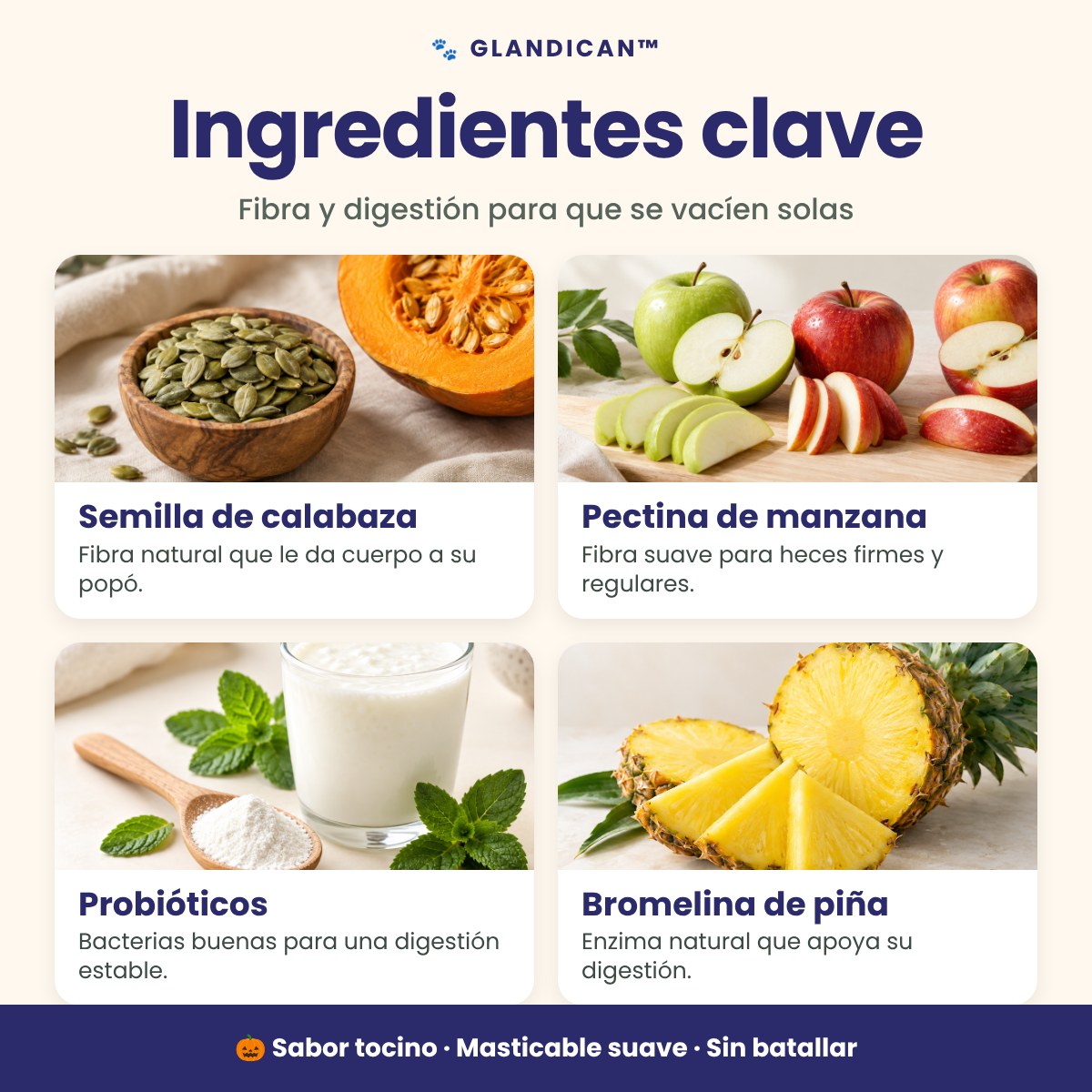 Ingredientes clave de GlandiCan