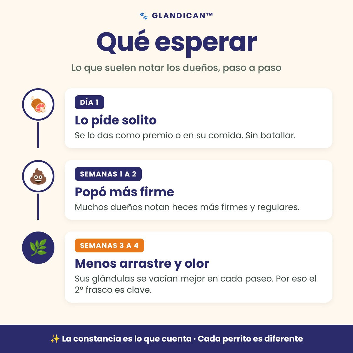 Qué esperar con GlandiCan