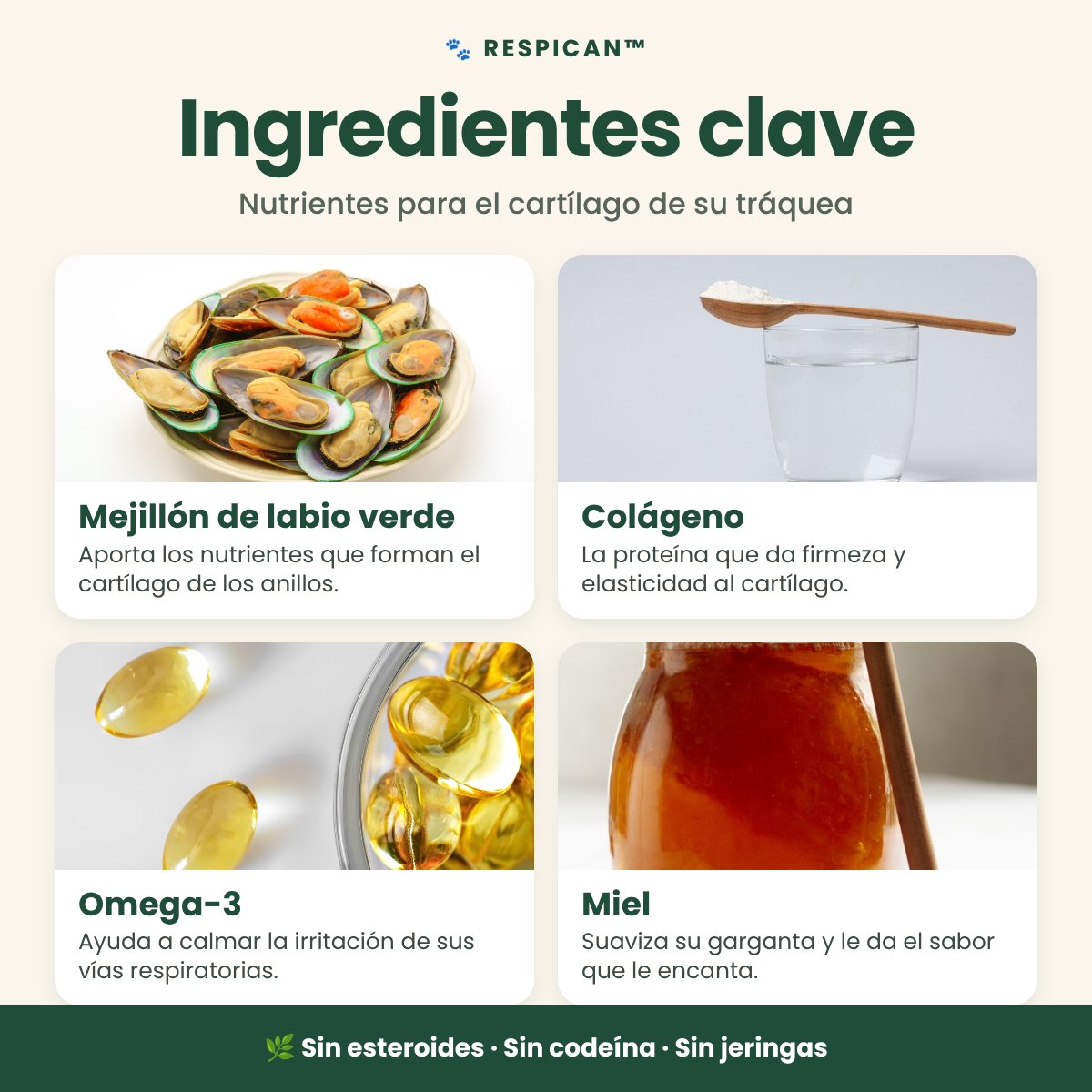 Ingredientes clave de RespiCan