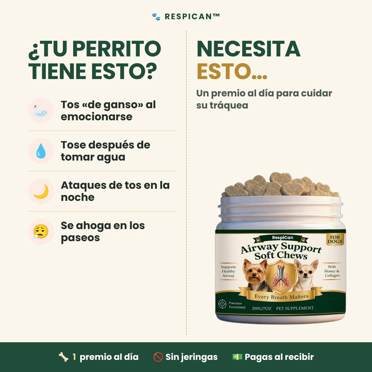 ¿Tu perrito tose como ganso? RespiCan